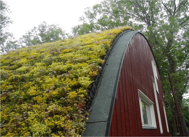 Zielony dach z kratką EcoRaster